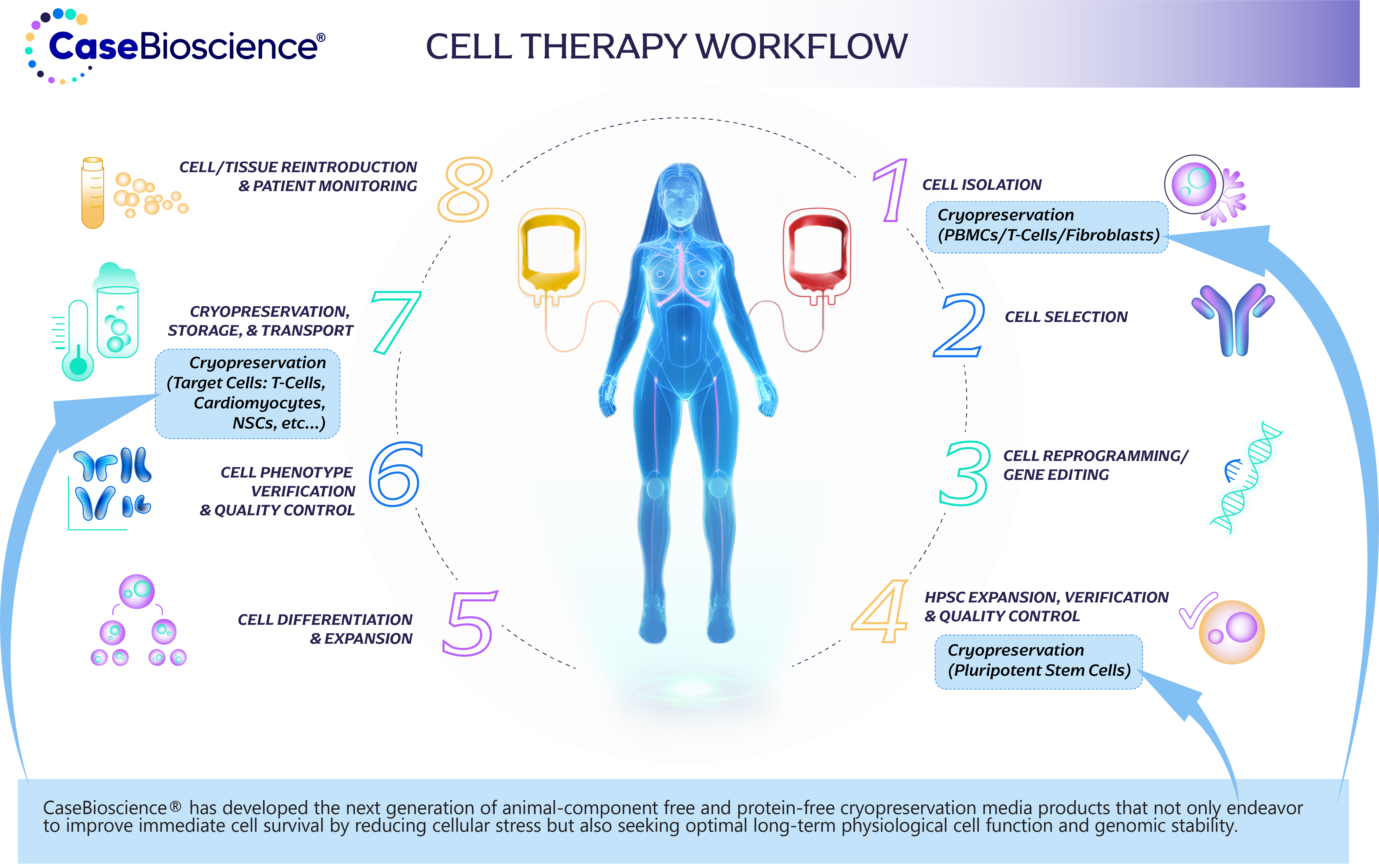 casebioscience_workflow_version_v02White